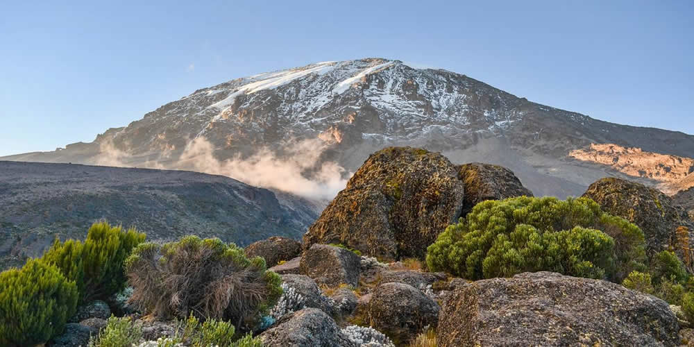 <a href="https://kilivanasafari.com/mount-kilimanjaro/">Kilimanjaro </a>